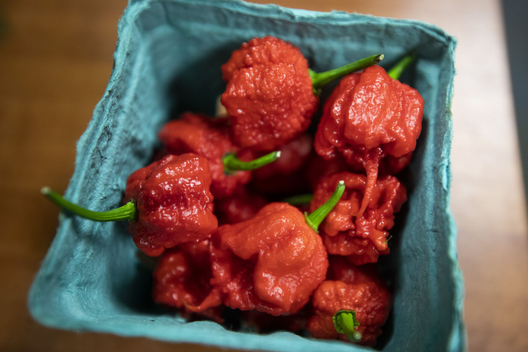 Berkeley Library Gardening Reaper Peppers.JPG